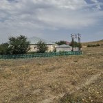 Satılır Torpaq Şamaxı 4