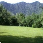 Satılır Torpaq Qəbələ 1