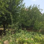 Kirayə (aylıq) 3 otaqlı Bağ evi, Fatmayi, Abşeron rayonu 8