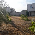 Satılır Torpaq, Xəzər rayonu 2