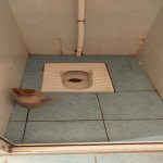 Kirayə (aylıq) 1 otaqlı Köhnə Tikili, Yasamal rayonu 8