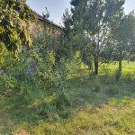 Satılır 3 otaqlı Həyət evi/villa Zaqatala 4