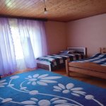 Kirayə (günlük) 3 otaqlı Yeni Tikili Lerik 3