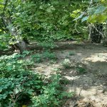 Satılır Torpaq Qax 2