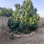 Kirayə (aylıq) 4 otaqlı Bağ evi, Bilgəh qəs., Sabunçu rayonu 10