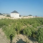 Продажа Участок, Зиря, Хязяр район 3