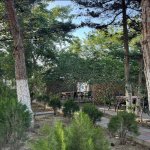 Kirayə (aylıq) Obyekt, Neftçilər metrosu, Nizami rayonu 13