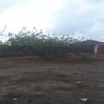 Satılır Torpaq, Maştağa qəs., Sabunçu rayonu 10