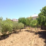 Satılır 9 otaqlı Həyət evi/villa, Bilgəh qəs., Sabunçu rayonu 26