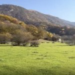 Satılır Torpaq Oğuz 10