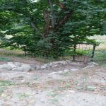 Kirayə (günlük) 3 otaqlı Bağ evi Quba 11