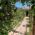 Kirayə (aylıq) 5 otaqlı Bağ evi, Qala, Xəzər rayonu 28