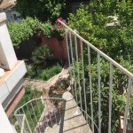 Kirayə (aylıq) 6 otaqlı Həyət evi/villa, UPD, Nizami rayonu 2