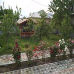 Kirayə (günlük) 4 otaqlı Həyət evi/villa Qəbələ 2