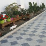 Satılır 5 otaqlı Bağ evi, Saray, Abşeron rayonu 5