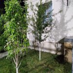 Satılır 4 otaqlı Həyət evi/villa, Buzovna, Xəzər rayonu 6