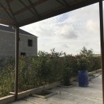 Satılır 2 otaqlı Bağ evi, Nardaran qəs., Sabunçu rayonu 2