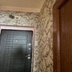 Satılır 2 otaqlı Yeni Tikili, Neftçilər metrosu, Nizami rayonu 14