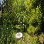 Satılır 3 otaqlı Həyət evi/villa İsmayıllı 8