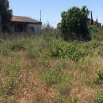 Satılır Torpaq, Sabunçu rayonu 4