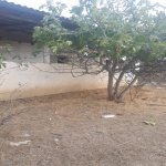 Satılır Torpaq, Maştağa qəs., Sabunçu rayonu 3