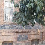 Kirayə (aylıq) 3 otaqlı Həyət evi/villa Gəncə 4