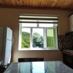 Kirayə (günlük) 4 otaqlı Həyət evi/villa Lerik 9