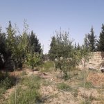 Satılır 6 otaqlı Bağ evi, Novxanı, Abşeron rayonu 11