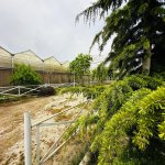 Продажа Объект, Туркян, Хязяр район 19