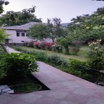 Kirayə (günlük) 1 otaqlı Həyət evi/villa Qəbələ 2