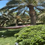 Kirayə (aylıq) 12 otaqlı Bağ evi, Mərdəkan, Xəzər rayonu 11