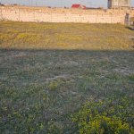Satılır Torpaq, Türkan, Xəzər rayonu 4