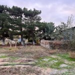 Satılır Torpaq, Zirə, Xəzər rayonu 3