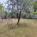 Satılır 10 otaqlı Bağ evi, Novxanı, Abşeron rayonu 10