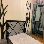 Kirayə (aylıq) 3 otaqlı Yeni Tikili, Azadlıq metrosu, Binəqədi rayonu 7