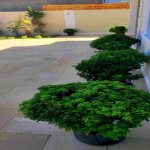 Satılır 4 otaqlı Həyət evi/villa Xaçmaz 17
