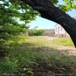 Kirayə (aylıq) 3 otaqlı Həyət evi/villa, Binə qəs., Xəzər rayonu 7