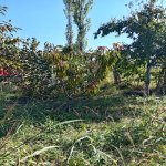 Продажа 2 комнатная Дома/Виллы Губа 8