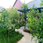 Kirayə (günlük) 4 otaqlı Həyət evi/villa Qusar 31