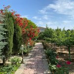 Kirayə (aylıq) 5 otaqlı Həyət evi/villa, Şüvəlan, Xəzər rayonu 25