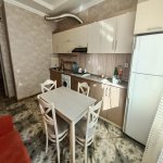 Kirayə (aylıq) 3 otaqlı Yeni Tikili, Azadlıq metrosu, 8-ci mikrorayon, Ayna Sultanova heykəli, Binəqədi rayonu 12