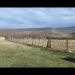Satılır Torpaq Zaqatala 3