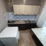 Kirayə (aylıq) 1 otaqlı Köhnə Tikili, Bakıxanov qəs., Sabunçu rayonu 3