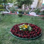 Satılır 6 otaqlı Həyət evi/villa, Novxanı, Abşeron rayonu 8