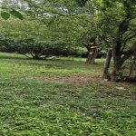 Satılır 3 otaqlı Həyət evi/villa Tərtər 15