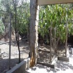 Satılır 2 otaqlı Həyət evi/villa, Maştağa qəs., Sabunçu rayonu 7