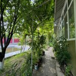 Kirayə (günlük) 4 otaqlı Həyət evi/villa Qəbələ 11