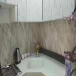 Kirayə (aylıq) 1 otaqlı Bağ evi, Pirşağı qəs., Sabunçu rayonu 15