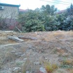 Satılır Torpaq, Azadlıq metrosu, Rəsulzadə qəs., Binəqədi rayonu 3