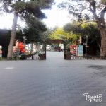 Продажа 2 комнатная Новостройка Хырдалан 9